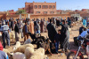 Markt Ouarzazate