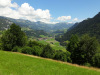 Simmental